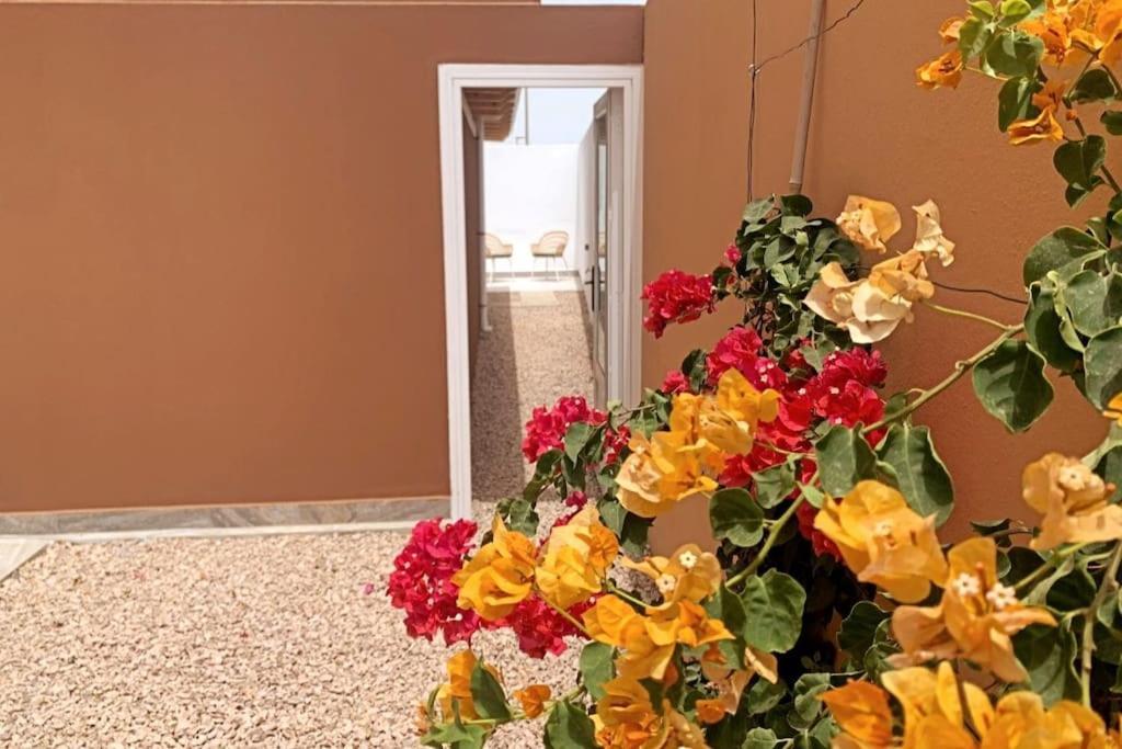 Moderna Casa De Invitados Con Terraza Y Piscina Corralejo Ngoại thất bức ảnh